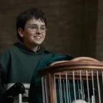 Senado aprova lei que equipara misoginia ao crime de racismo; entenda