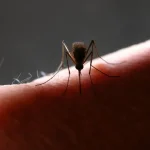 Alex Escobar precisará fazer cirurgia nas cordas vocais e é afastado da Globo