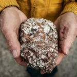 BBB 26: entenda como será a dinâmica Máquina do Poder