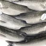 Pai de Meghan Markle assume namoro com mulher 35 anos mais nova