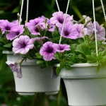 OpenAI compra startup de finanças com IA e encerra plataforma Hiro