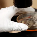 Aposentados e pensionistas do INSS podem consultar antecipação do 13º