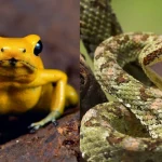 Gilmar Mendes vota para derrubar lei que proíbe cotas raciais em universidades de SC