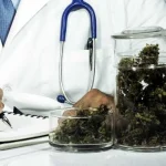 Desfiles de carnaval no Rio terão maior número de escolas de samba