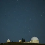 Comer este vegetal cru pode mesmo acelerar o metabolismo?