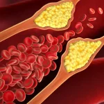 Leilão da Receita tem iPhone 17 por R$ 4.600 e guitarra Fender por R$ 500