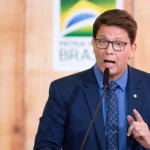 5 dicas de especialistas para fazer suas plantas florescerem mais