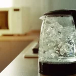 Jamie Lee Curtis revela que nunca quis ser atriz e relembra início