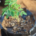 Países com mais bilionários do mundo: A posição do Brasil