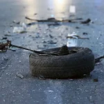 As mordidas e picadas de animais mais dolorosas para os humanos