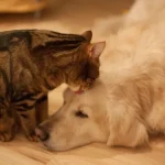 Brasil tem recorde de turistas estrangeiros no 1º trimestre, com alta anual de 19,4%