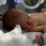 Corinthians testa os riscos de Diniz contra o sólido Palmeiras do ausente Abel Ferreira