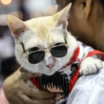 Saúde envia 2,2 milhões de doses da vacina de covid-19 aos estados