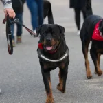 Bancos, INSS e Correios não abrem na próxima terça (21), feriado de Tiradentes