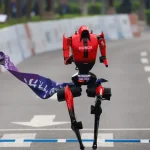 Botafogo vai até Chapecó determinado a vencer para sonhar com briga pela ponta do Brasileirão