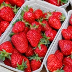 Dose dupla de vacina contra gripe pode reduzir em 20% as mortes de pacientes com histórico de AVC