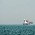 Vini Jr. marca golaço pelo Real Madrid, mas a comemoração dá o que falar