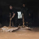 Se for convidado para ir a casa de alguém, nunca faça estas 6 coisas