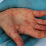 Brasil aciona OMC contra tarifas impostas pelos Estados Unidos