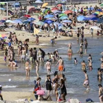 Febre maculosa mata 17 pessoas em São Paulo em 2026