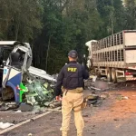 Nova regra para Lei Seca prevê teste para detectar uso de drogas e exame obrigatório em acidente com morte