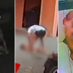 Cachorro perdido invade reportagem ao vivo da Globo e é reconhecido e resgatado por tutora