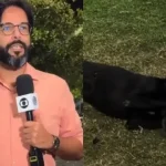 Os lugares mais perigosos para tirar selfies