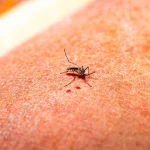 Coisas ​​que engordam e poucos se dão conta