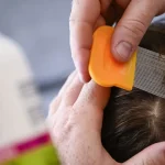 Estudo encontra 480 sites falsos para pagamentos de pedágio ‘free flow’